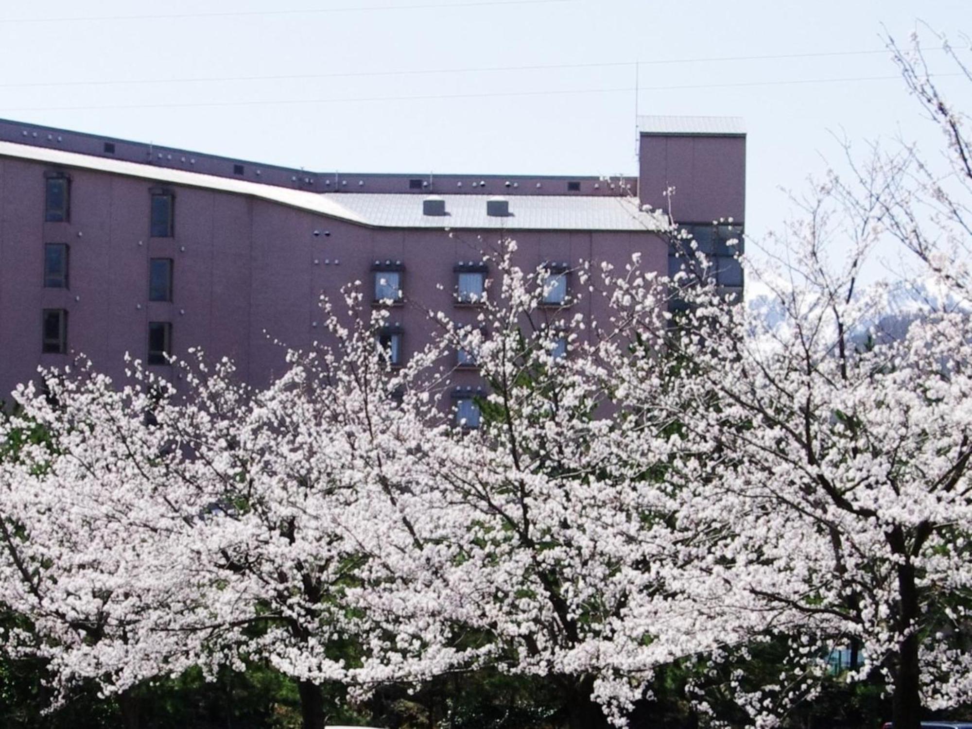 Hotel Kunitomi Annex - Vacation Stay 12072V Itoigawa Екстериор снимка